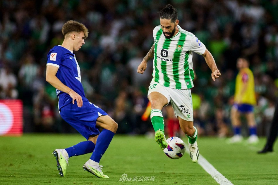 他们频频撕 他们频频撕