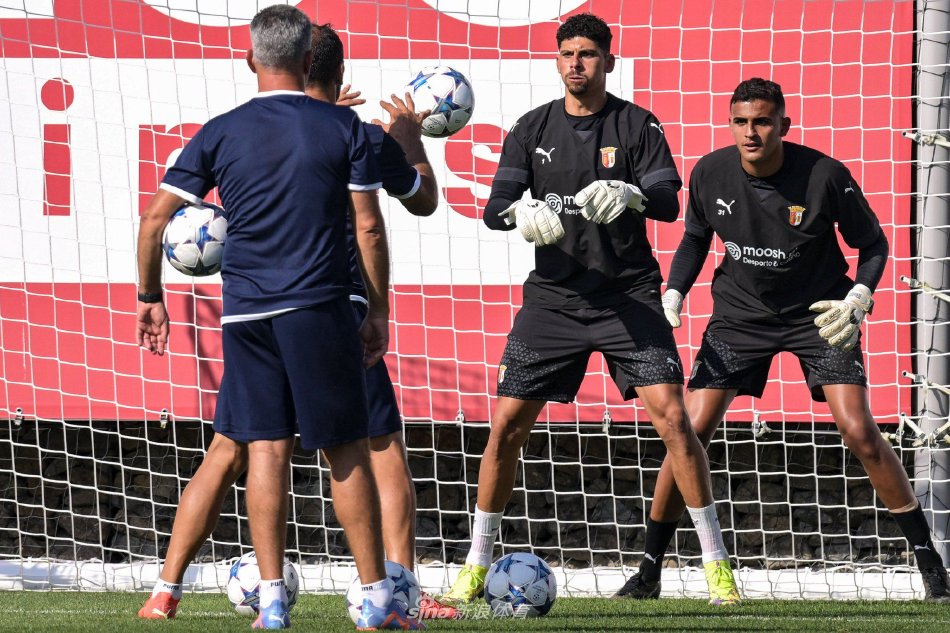 年轻中卫价 年轻中卫价